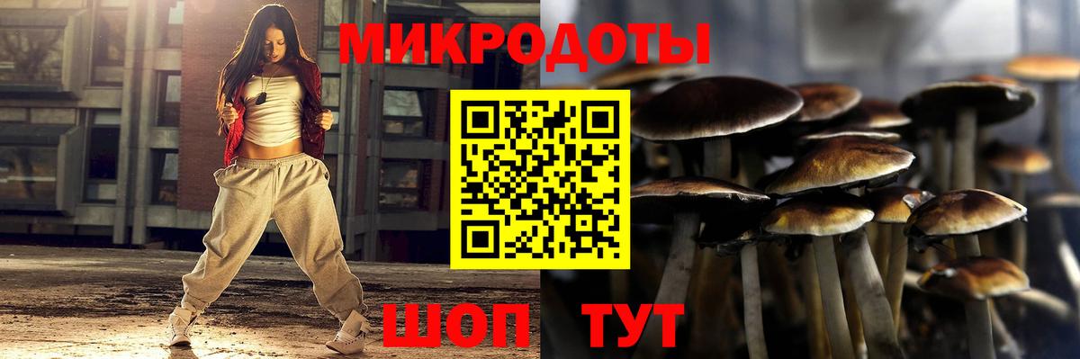 Курчатов  Псилоцибиновые грибы прущие грибы  Вход с VPN 