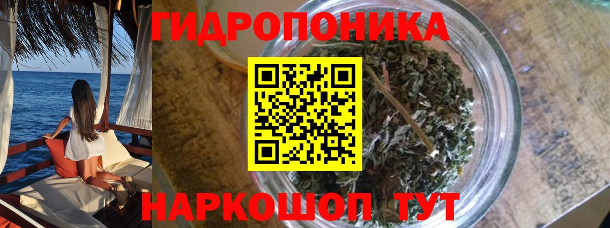 Шишки марихуана MAZAR  Марихуана OG Kush  Вход с VPN  Бошки марихуана SATIVA & INDICA  Курчатов 