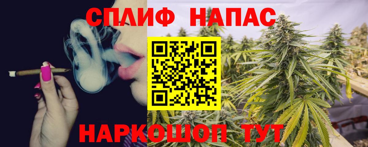 Канабис план Курчатов